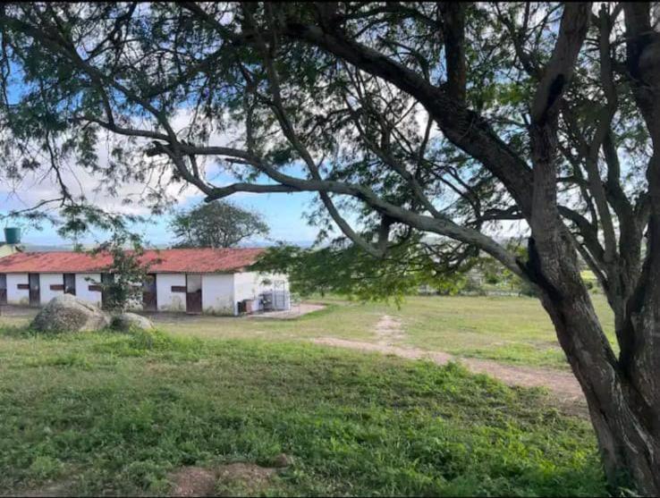 Flat No Hotel Fazenda Monte Castelo Gravata Condominio 외부 사진